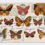 Migration I Collage of stamps on postcards